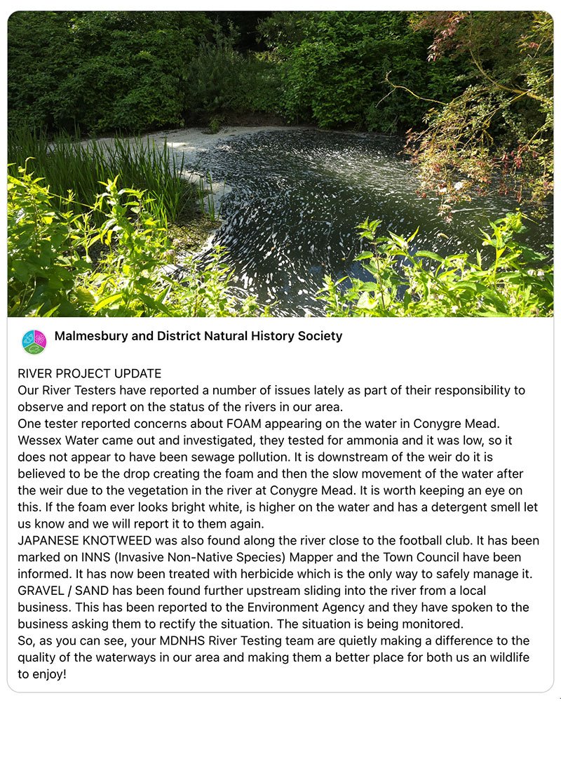 General Fund & Projects