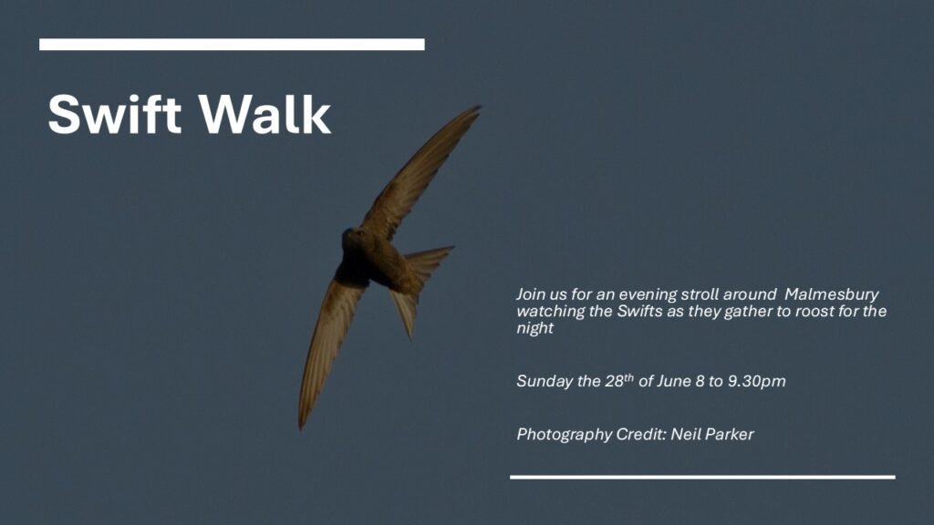 Swift Walk